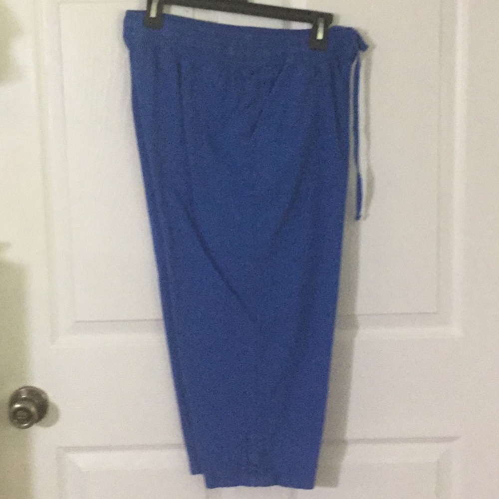 Kim Rogers blue Capri pants.  NWOT